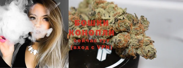 гашик Белокуриха