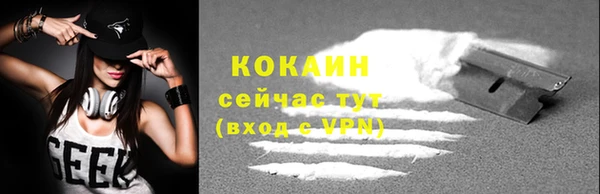 гашик Белокуриха