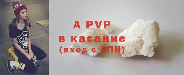 гашик Белокуриха