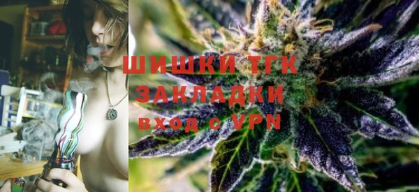 гашик Белокуриха