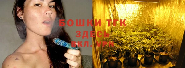 гашик Белокуриха
